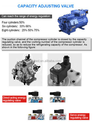 Производство большого объема экологической прогулки в климатической камере с контролем влажности и температурной испытательной комнатой