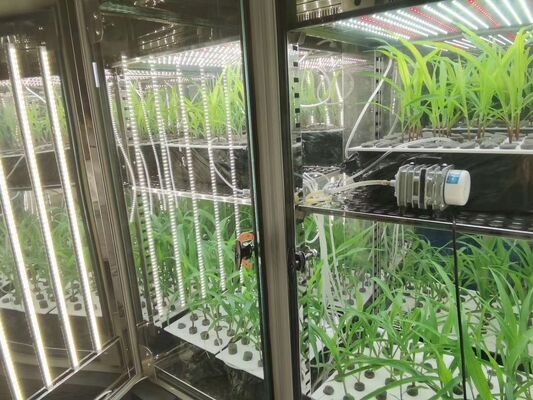 Цена LIYI на 2-стороннюю, 3-стороннюю экологическую камеру для испытаний искусственного климата, инкубатор для роста растений с освещением, продажа