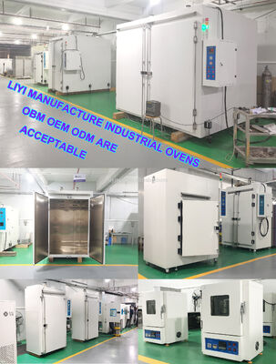 Liyi Customized High Temperature Big Curing Oven Hot Air Circulating Laboratory Heating Oven Industrial Drying Oven Price